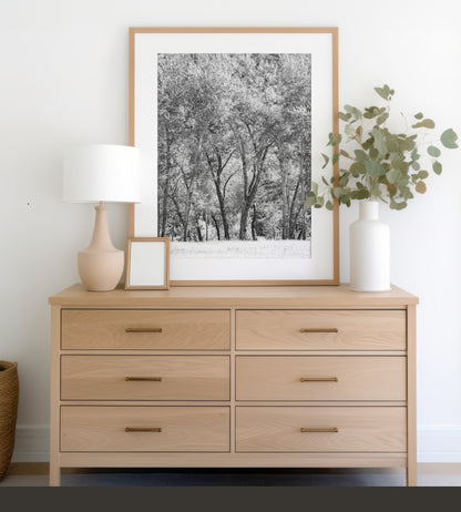 Fine art Yosemite Valley forest vertical  landscape black and white print by Southern California photographer Kim Dybczak of Salt Creek Prints, featuring tall trees. Photograph in minimalist mock up