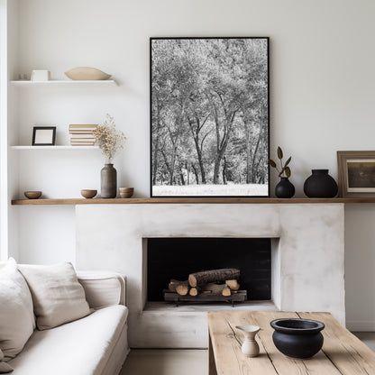 Fine art Yosemite Valley forest vertical  landscape black and white print by Southern California photographer Kim Dybczak of Salt Creek Prints, featuring tall trees. Photograph in minimalist mock up