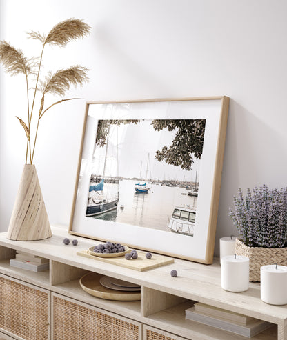 Landscape coastal photography of sailboats in San Diego Bay, framed by tree branches. This calm nautical print offers a coastal theme wall art. Photograph in minimalist mock up.