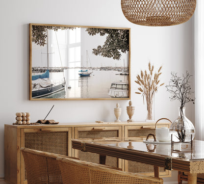 Landscape coastal photography of sailboats in San Diego Bay, framed by tree branches. This calm nautical print offers a coastal theme wall art. Photograph in minimalist mock up.