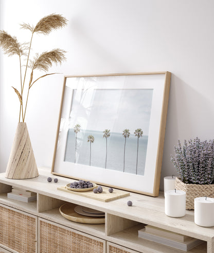 Coastal Encinitas photography featuring a row of palm trees along the coastline. Photograph in minimalist mock up.