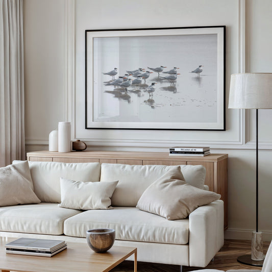 Shore Birds 5263