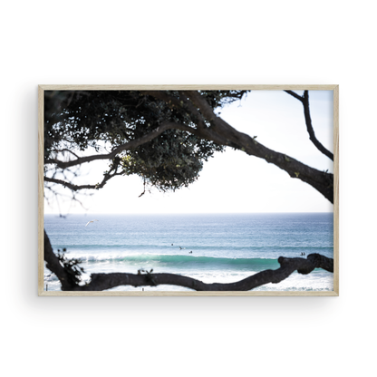 An ocean view reveals surfers on gentle waves, with a white bird soaring. Tree branches provide a natural, rustic foreground to the serene scene, taken at a beach in Del Mar, San Diego. Photograph in minimalist mock up.