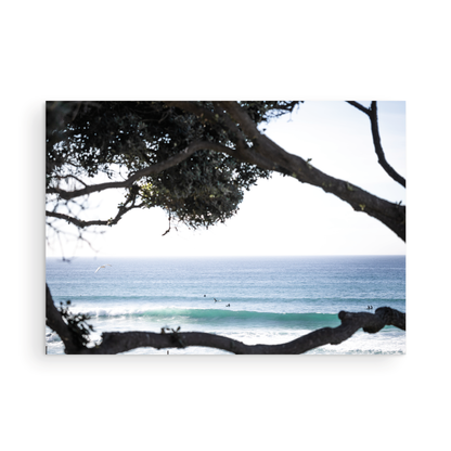 An ocean view reveals surfers on gentle waves, with a white bird soaring. Tree branches provide a natural, rustic foreground to the serene scene, taken at a beach in Del Mar, San Diego. Photograph in minimalist mock up.
