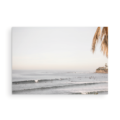 Landscape beach photography of Tourmaline Beach, Pacific Beach, California, with waves and many surfers, framed by a palm tree in the corner. This ocean print captures casual surf vibes. Photograph in minimalist mock up.