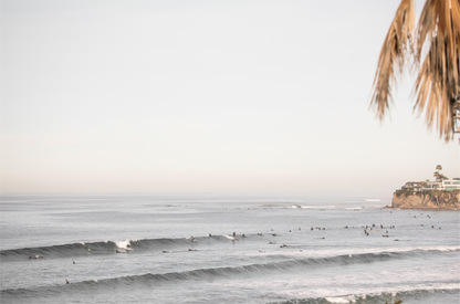 Landscape beach photography of Tourmaline Beach, Pacific Beach, California, with waves and many surfers, framed by a palm tree in the corner. This ocean print captures casual surf vibes. 