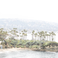 Laguna Beach 1081