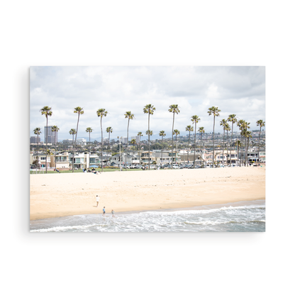 Landscape beach photography of Newport Beach, California, showing a wide sandy beach, a long line of tall palm trees, and coastal homes. Photograph in minimalist mock up.