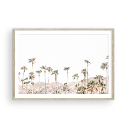 Landscape coastal photography showing a wide expanse of palm trees in Palm Springs with hazy mountains in the background. A minimalist palm tree print. Photograph in minimalist mock up.