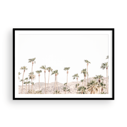 Landscape coastal photography showing a wide expanse of palm trees in Palm Springs with hazy mountains in the background. A minimalist palm tree print. Photograph in minimalist mock up.