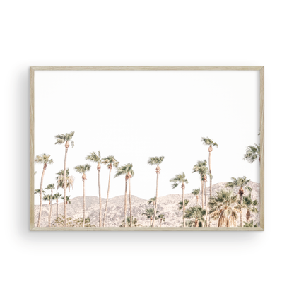 Landscape coastal photography showing a wide expanse of palm trees in Palm Springs with hazy mountains in the background. A minimalist palm tree print. Photograph in minimalist mock up.