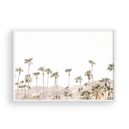 Landscape coastal photography showing a wide expanse of palm trees in Palm Springs with hazy mountains in the background. A minimalist palm tree print. Photograph in minimalist mock up.
