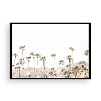 Landscape coastal photography showing a wide expanse of palm trees in Palm Springs with hazy mountains in the background. A minimalist palm tree print. Photograph in minimalist mock up.