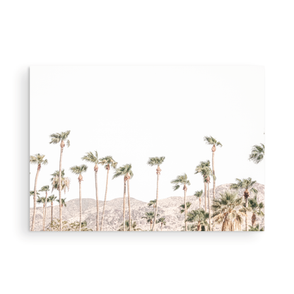 Landscape coastal photography showing a wide expanse of palm trees in Palm Springs with hazy mountains in the background. A minimalist palm tree print. Photograph in minimalist mock up.