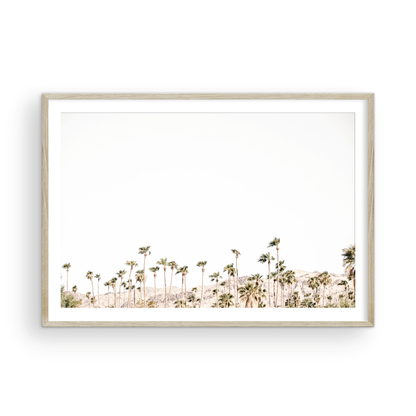Landscape coastal photography showing a wide expanse of palm trees in Palm Springs with hazy mountains in the background. A minimalist palm tree print. Photograph in minimalist mock up.