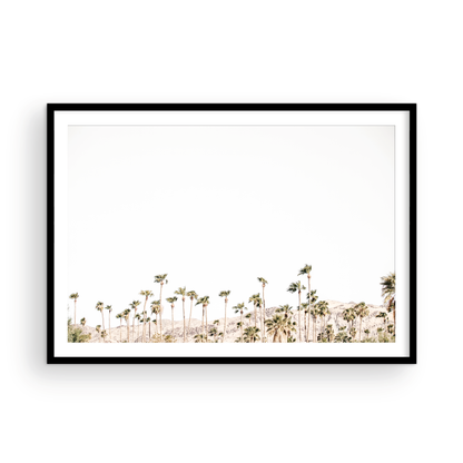 Landscape coastal photography showing a wide expanse of palm trees in Palm Springs with hazy mountains in the background. A minimalist palm tree print. Photograph in minimalist mock up.