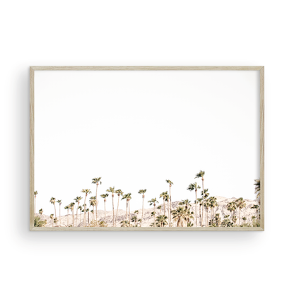 Landscape coastal photography showing a wide expanse of palm trees in Palm Springs with hazy mountains in the background. A minimalist palm tree print. Photograph in minimalist mock up.