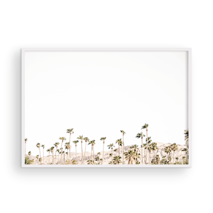 Landscape coastal photography showing a wide expanse of palm trees in Palm Springs with hazy mountains in the background. A minimalist palm tree print. Photograph in minimalist mock up.
