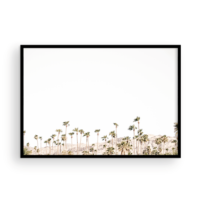Landscape coastal photography showing a wide expanse of palm trees in Palm Springs with hazy mountains in the background. A minimalist palm tree print. Photograph in minimalist mock up.