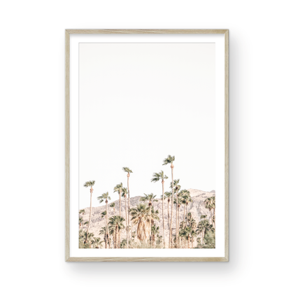 Vertical coastal photography showing a wide expanse of palm trees in Palm Springs with hazy mountains in the background. A minimalist palm tree print. Photograph in minimalist mock up.