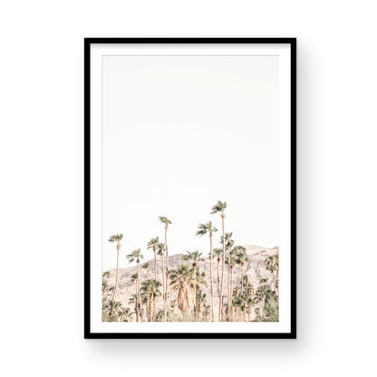 Vertical coastal photography showing a wide expanse of palm trees in Palm Springs with hazy mountains in the background. A minimalist palm tree print. Photograph in minimalist mock up.