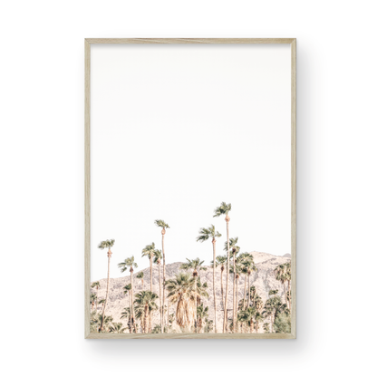 Vertical coastal photography showing a wide expanse of palm trees in Palm Springs with hazy mountains in the background. A minimalist palm tree print. Photograph in minimalist mock up.