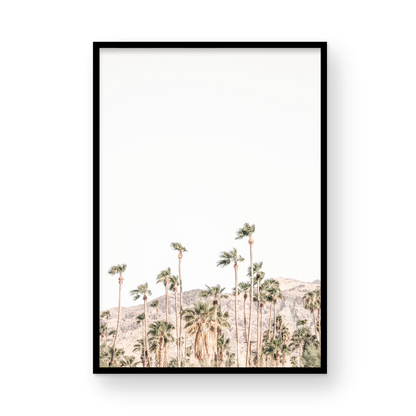 Vertical coastal photography showing a wide expanse of palm trees in Palm Springs with hazy mountains in the background. A minimalist palm tree print. Photograph in minimalist mock up.