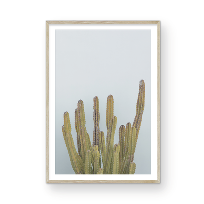 Vertical minimalist art print of a striking green cactus against a plain pale blue sky background, offering a unique element for tropical decor or minimalist art. Photograph in minimalist mock up.