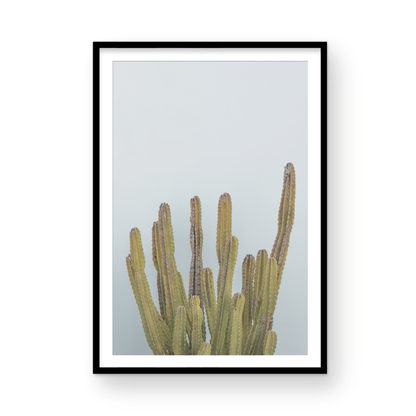 Vertical minimalist art print of a striking green cactus against a plain pale blue sky background, offering a unique element for tropical decor or minimalist art. Photograph in minimalist mock up.