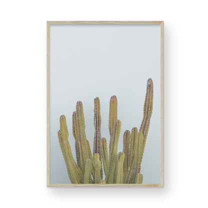 Vertical minimalist art print of a striking green cactus against a plain pale blue sky background, offering a unique element for tropical decor or minimalist art. Photograph in minimalist mock up.