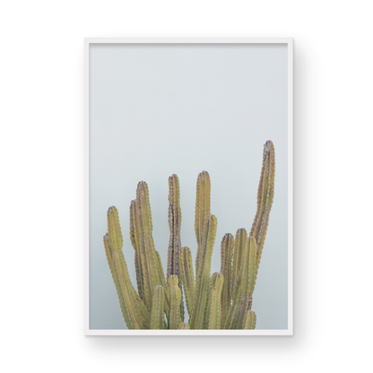 Vertical minimalist art print of a striking green cactus against a plain pale blue sky background, offering a unique element for tropical decor or minimalist art. Photograph in minimalist mock up.