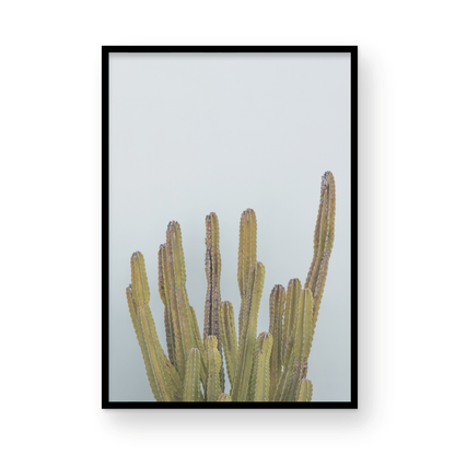 Vertical minimalist art print of a striking green cactus against a plain pale blue sky background, offering a unique element for tropical decor or minimalist art. Photograph in minimalist mock up.