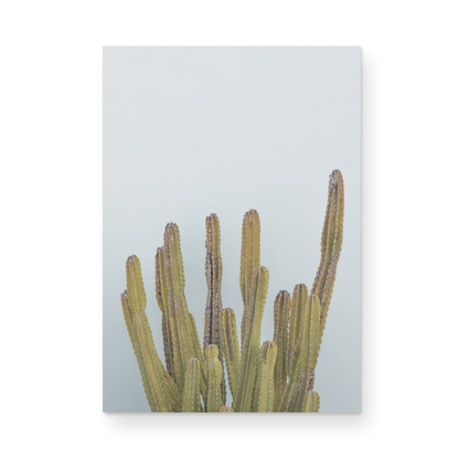 Vertical minimalist art print of a striking green cactus against a plain pale blue sky background, offering a unique element for tropical decor or minimalist art. Photograph in minimalist mock up.