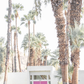 Palm Springs 2536