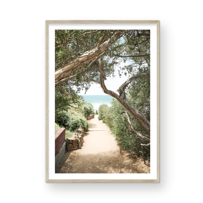 A serene landscape coastal photography print showing a path leading down to the ocean, framed by lush coastal foliage and winding branches. This vertical coastal photography piece captures the beauty of the Seaside Beach, on the California coast, perfect for a beach house decor. Photograph in minimalist mock up.