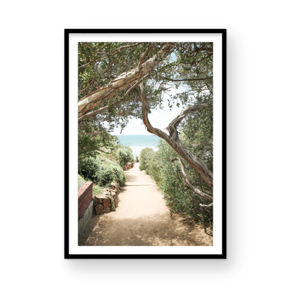 A serene landscape coastal photography print showing a path leading down to the ocean, framed by lush coastal foliage and winding branches. This vertical coastal photography piece captures the beauty of the Seaside Beach, on the California coast, perfect for a beach house decor. Photograph in minimalist mock up.