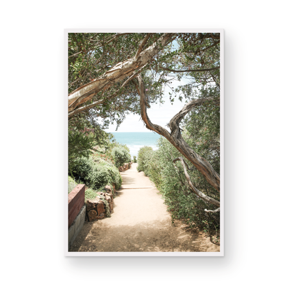 A serene landscape coastal photography print showing a path leading down to the ocean, framed by lush coastal foliage and winding branches. This vertical coastal photography piece captures the beauty of the Seaside Beach, on the California coast, perfect for a beach house decor. Photograph in minimalist mock up.