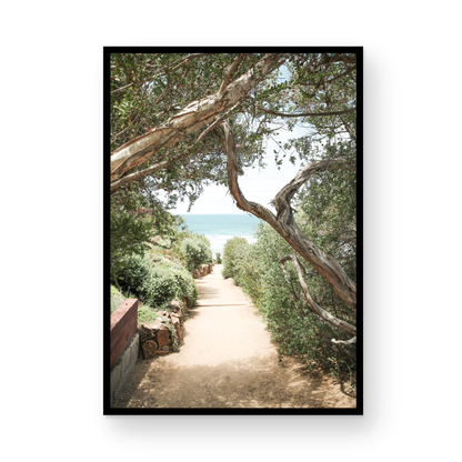 A serene landscape coastal photography print showing a path leading down to the ocean, framed by lush coastal foliage and winding branches. This vertical coastal photography piece captures the beauty of the Seaside Beach, on the California coast, perfect for a beach house decor. Photograph in minimalist mock up.