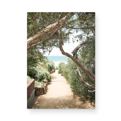 A serene landscape coastal photography print showing a path leading down to the ocean, framed by lush coastal foliage and winding branches. This vertical coastal photography piece captures the beauty of the Seaside Beach, on the California coast, perfect for a beach house decor. Photograph in minimalist mock up.