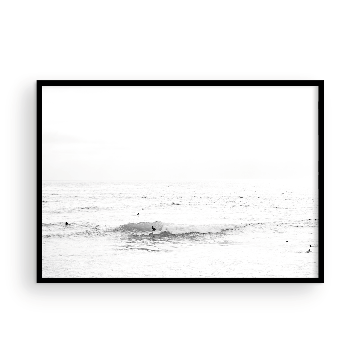 WindanSea 3066 B&W