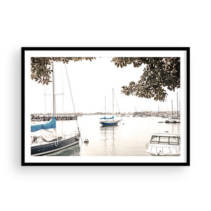 Landscape coastal photography of sailboats in San Diego Bay, framed by tree branches. This calm nautical print offers a coastal theme wall art. Photograph in minimalist mock up.