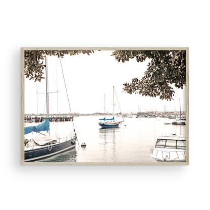 Landscape coastal photography of sailboats in San Diego Bay, framed by tree branches. This calm nautical print offers a coastal theme wall art. Photograph in minimalist mock up.