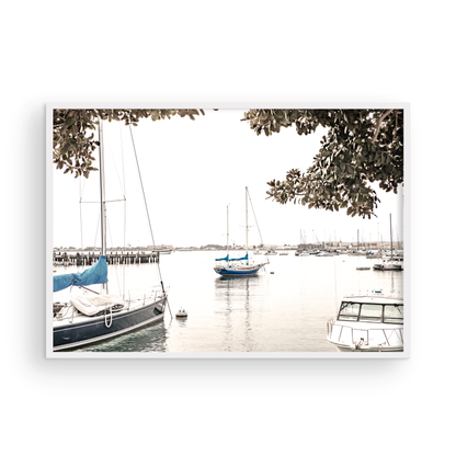 Landscape coastal photography of sailboats in San Diego Bay, framed by tree branches. This calm nautical print offers a coastal theme wall art. Photograph in minimalist mock up.