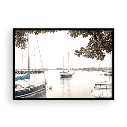 Landscape coastal photography of sailboats in San Diego Bay, framed by tree branches. This calm nautical print offers a coastal theme wall art. Photograph in minimalist mock up.