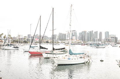 A horizontal San Diego print showcasing numerous sailboats in San Diego Harbor with the city skyline in the background. This modern coastal print embodies the Southern California coastal photography, perfect for a large beach wall art. 