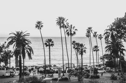 A classic black and white horizontal print of Swamis, the iconic San Diego surf spot, showcasing a panoramic view from above. This piece of Southern California travel photography features dozens of silhouetted palm trees against a bright sky, with a lively beach scene of cars and people below, stretching towards the ocean. Perfect as timeless beach art or neutral coastal decor for a surf vibe. 