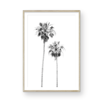 Minimalist palm tree print in black and white, showcasing two tall palm trees against a bright background. This vertical wall art is a coastal palm tree print. Photograph in minimalist mock up.