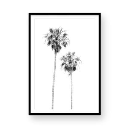 Minimalist palm tree print in black and white, showcasing two tall palm trees against a bright background. This vertical wall art is a coastal palm tree print. Photograph in minimalist mock up.
