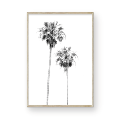 Minimalist palm tree print in black and white, showcasing two tall palm trees against a bright background. This vertical wall art is a coastal palm tree print. Photograph in minimalist mock up.