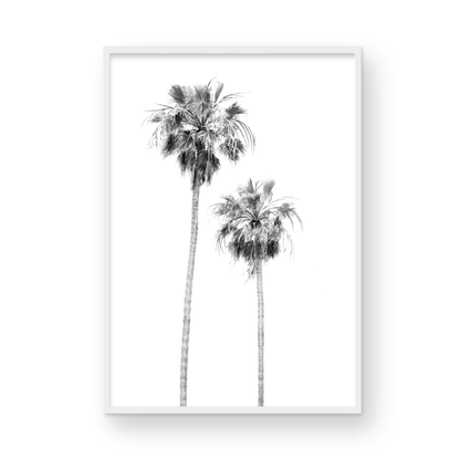 Minimalist palm tree print in black and white, showcasing two tall palm trees against a bright background. This vertical wall art is a coastal palm tree print. Photograph in minimalist mock up.